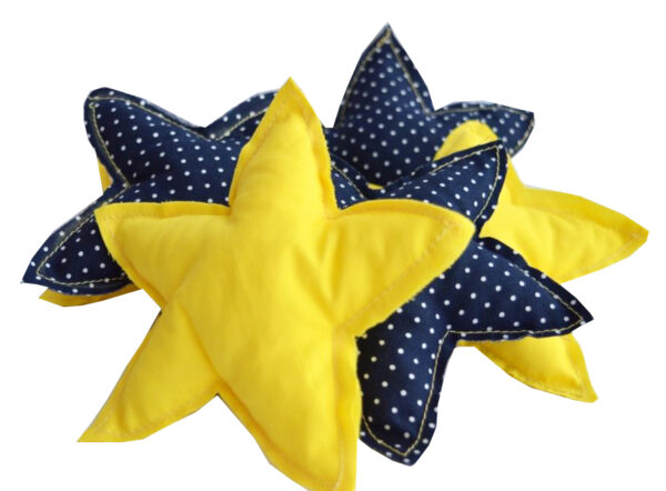 blue star bonbonier